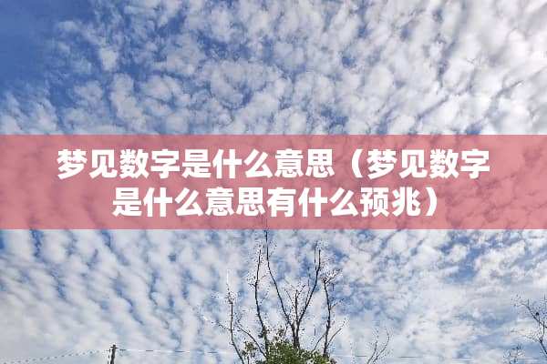 梦见数字是什么意思（梦见数字是什么意思有什么预兆）