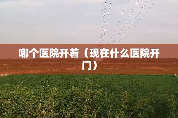哪个医院开着（现在什么医院开门）
