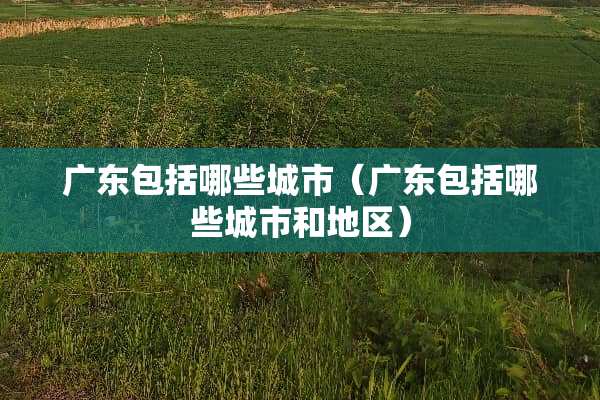 广东包括哪些城市（广东包括哪些城市和地区）