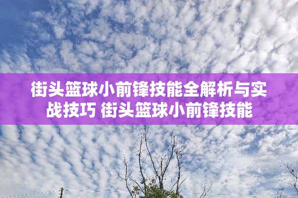 街头篮球小前锋技能全解析与实战技巧 街头篮球小前锋技能