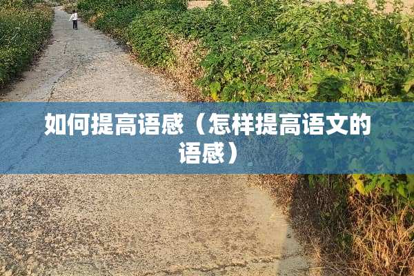 如何提高语感（怎样提高语文的语感）