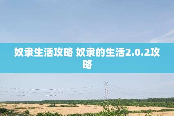 奴隶生活攻略 奴隶的生活2.0.2攻略
