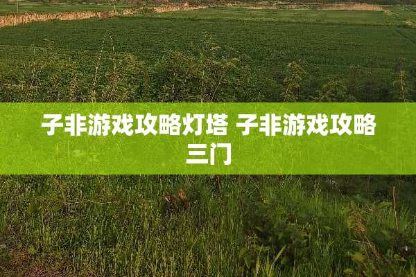 子非游戏攻略灯塔 子非游戏攻略三门