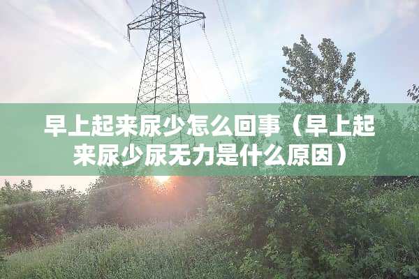 早上起来尿少怎么回事（早上起来尿少尿无力是什么原因）