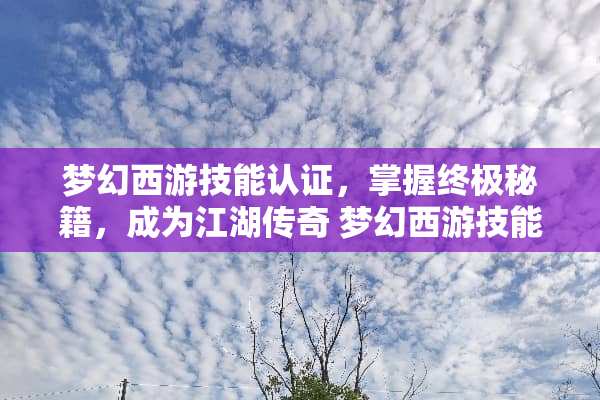 梦幻西游技能认证，掌握终极秘籍，成为江湖传奇 梦幻西游技能认证