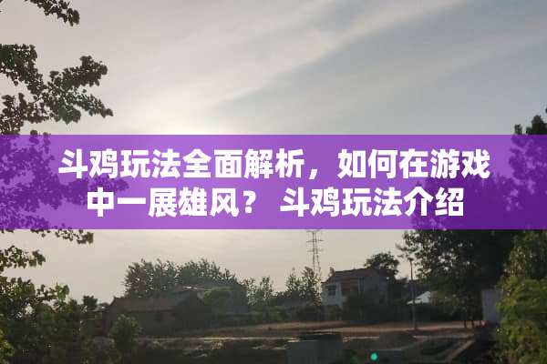 斗鸡玩法全面解析，如何在游戏中一展雄风？ 斗鸡玩法介绍