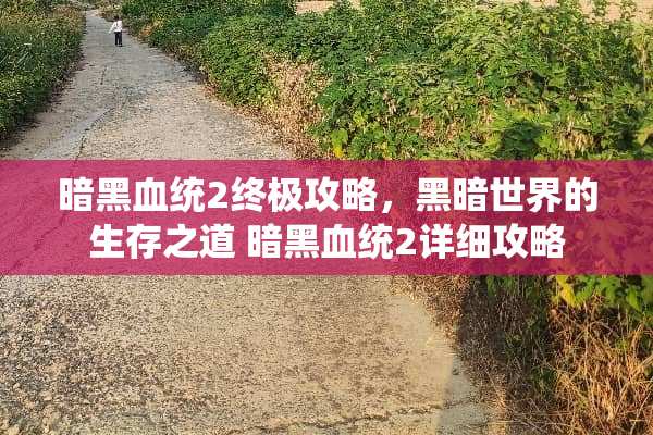 暗黑血统2终极攻略，黑暗世界的生存之道 暗黑血统2详细攻略