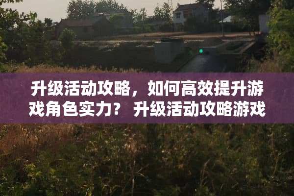 升级活动攻略，如何高效提升游戏角色实力？ 升级活动攻略游戏