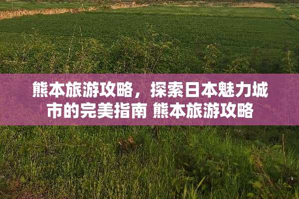 熊本旅游攻略，探索日本魅力城市的完美指南 熊本旅游攻略