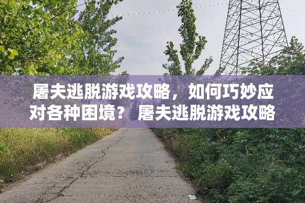 屠夫逃脱游戏攻略，如何巧妙应对各种困境？ 屠夫逃脱游戏攻略