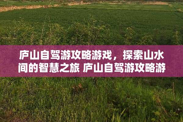 庐山自驾游攻略游戏，探索山水间的智慧之旅 庐山自驾游攻略游戏