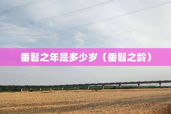 垂髫之年是多少岁（垂髫之龄）