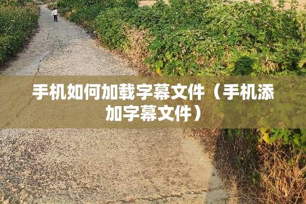 手机如何加载字幕文件（手机添加字幕文件）