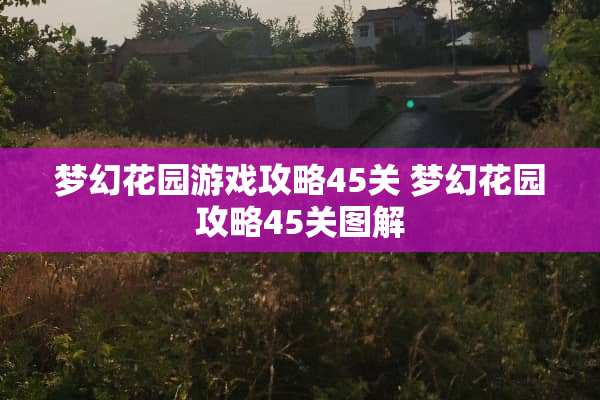 梦幻花园游戏攻略45关 梦幻花园攻略45关图解