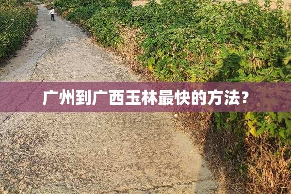 广州到广西玉林最快的方法？