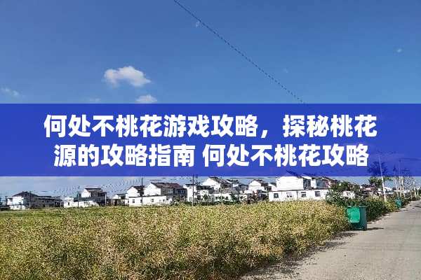 何处不桃花游戏攻略，探秘桃花源的攻略指南 何处不桃花攻略