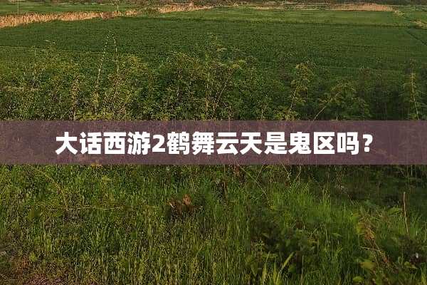 大话西游2鹤舞云天是鬼区吗？