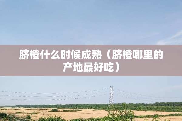 脐橙什么时候成熟（脐橙哪里的产地最好吃）