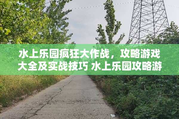 水上乐园疯狂大作战，攻略游戏大全及实战技巧 水上乐园攻略游戏大全