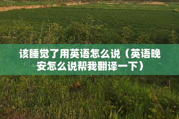 该睡觉了用英语怎么说（英语晚安怎么说帮我翻译一下）