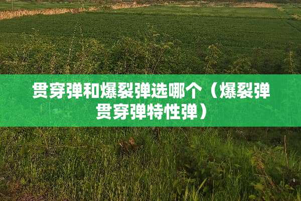 贯穿弹和爆裂弹选哪个（爆裂弹贯穿弹特性弹）