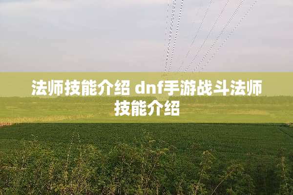 法师技能介绍 dnf手游战斗法师技能介绍