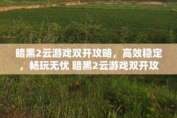 暗黑2云游戏双开攻略，高效稳定，畅玩无忧 暗黑2云游戏双开攻略