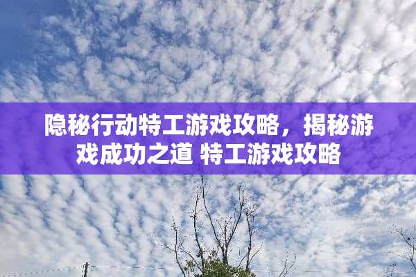 隐秘行动特工游戏攻略，揭秘游戏成功之道 特工游戏攻略
