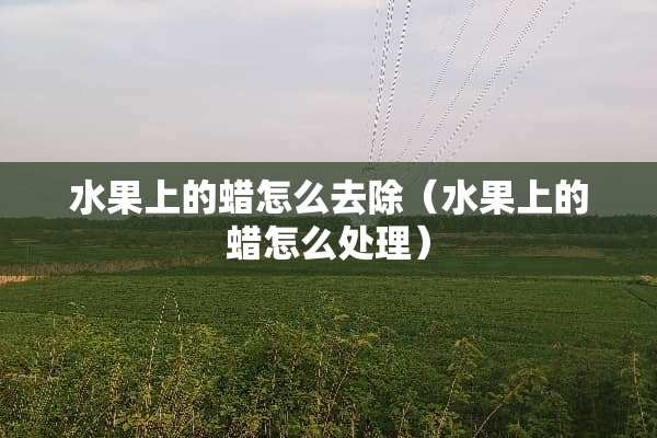 水果上的蜡怎么去除（水果上的蜡怎么处理）