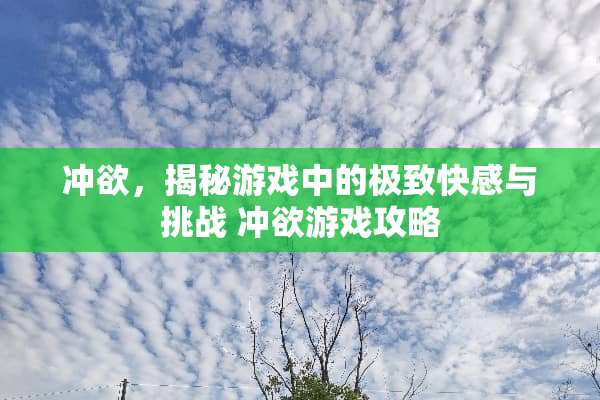 冲欲，揭秘游戏中的极致快感与挑战 冲欲游戏攻略