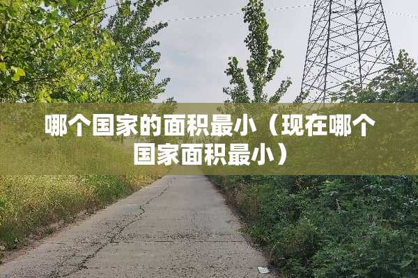 哪个国家的面积最小（现在哪个国家面积最小）