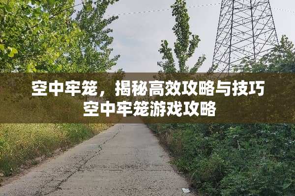 空中牢笼，揭秘高效攻略与技巧 空中牢笼游戏攻略