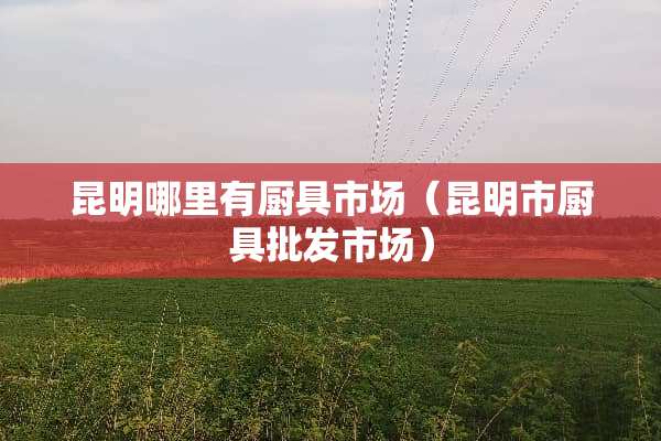 昆明哪里有厨具市场（昆明市厨具批发市场）