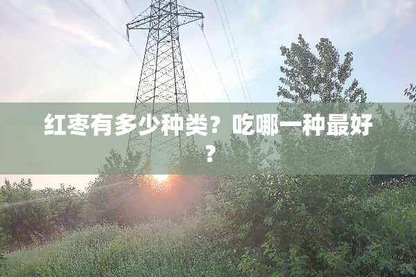 红枣有多少种类？吃哪一种最好？