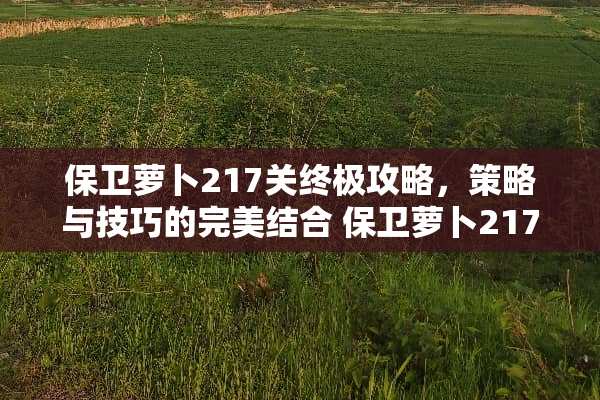 保卫萝卜217关终极攻略，策略与技巧的完美结合 保卫萝卜217关攻略