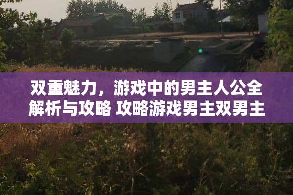 双重魅力，游戏中的男主人公全解析与攻略 攻略游戏男主双男主