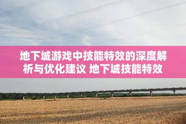 **城游戏中技能特效的深度解析与优化建议**城技能特效