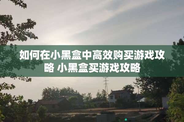 如何在小黑盒中高效购买游戏攻略 小黑盒买游戏攻略