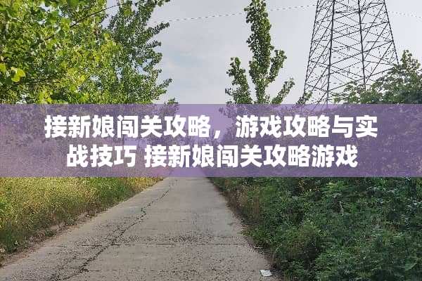 接新娘闯关攻略，游戏攻略与实战技巧 接新娘闯关攻略游戏
