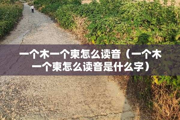 一个木一个柬怎么读音（一个木一个柬怎么读音是什么字）