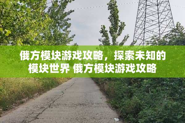 俄方模块游戏攻略，探索未知的模块世界 俄方模块游戏攻略