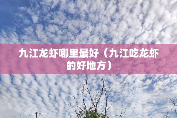 九江龙虾哪里最好（九江吃龙虾的好地方）