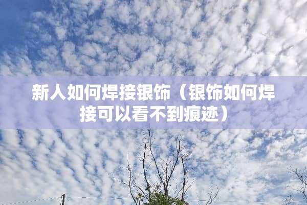 新人如何焊接银饰（银饰如何焊接可以看不到痕迹）