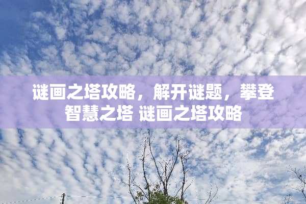 谜画之塔攻略，解开谜题，攀登智慧之塔 谜画之塔攻略