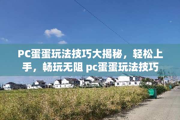 PC蛋蛋玩法技巧大揭秘，轻松上手，畅玩无阻 pc蛋蛋玩法技巧