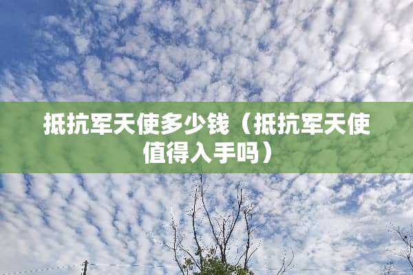 抵抗军天使多少钱（抵抗军天使值得入手吗）