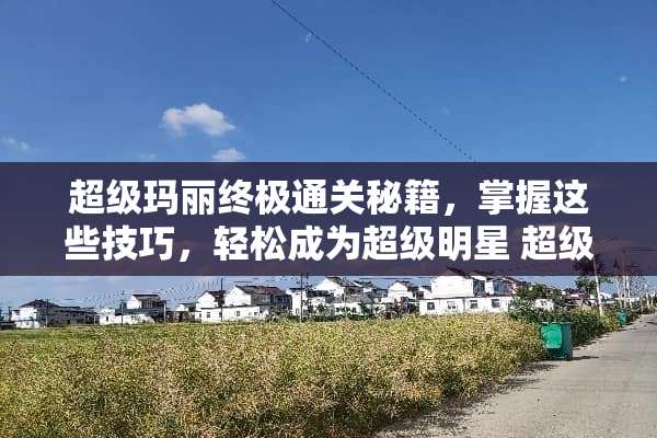 超级玛丽终极通关秘籍，掌握这些技巧，轻松成为超级明星 超级玛丽通关攻略