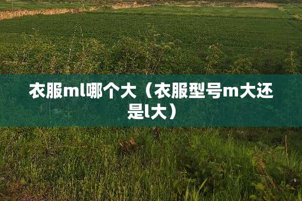 衣服ml哪个大（衣服型号m大还是l大）