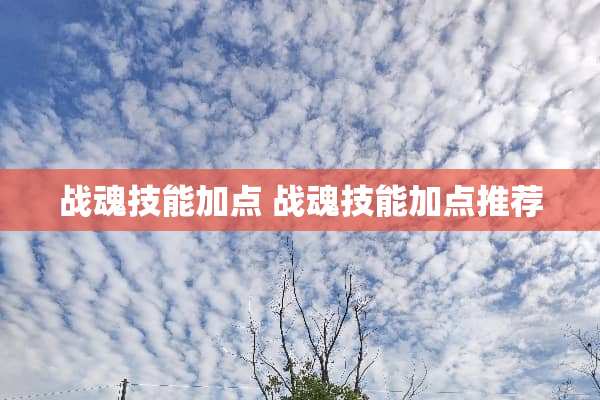 战魂技能加点 战魂技能加点推荐