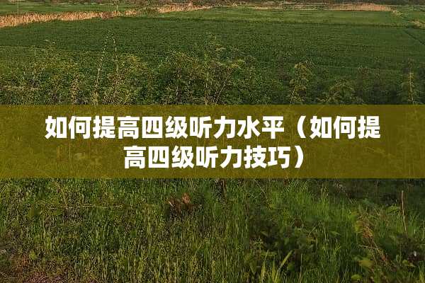 如何提高四级听力水平（如何提高四级听力技巧）